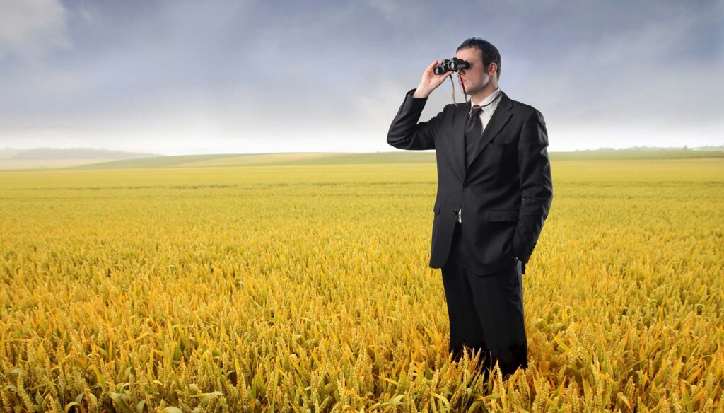 The SEO sanity check part 3: White hats always win