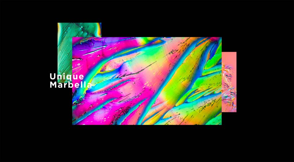 The best new portfolio sites, December 2016