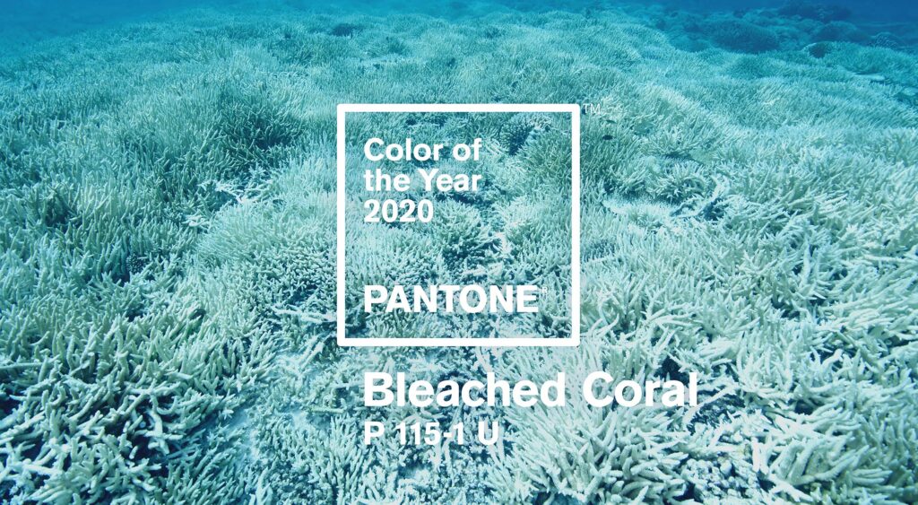 Unofficial Pantone Color for 2020 Revealed