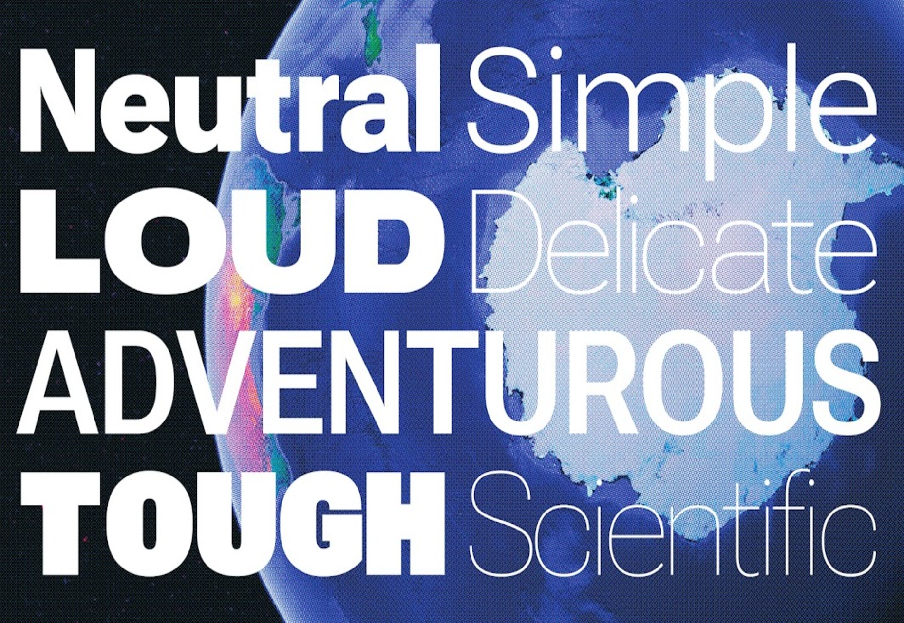 roboto flex on google fonts