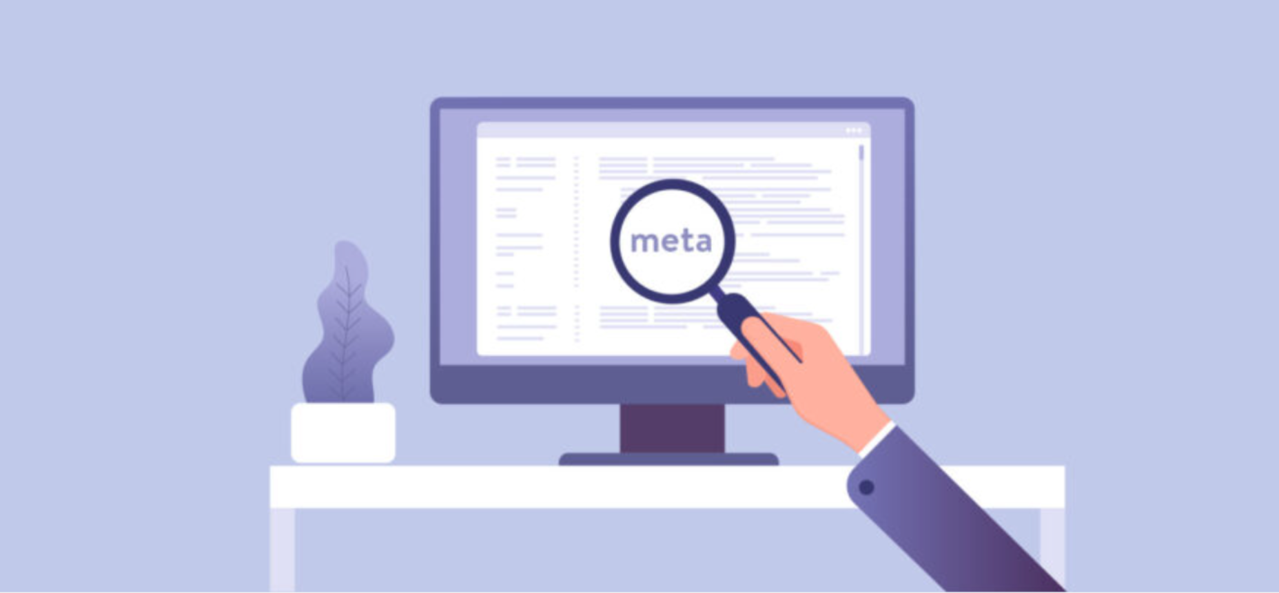 domain name trends