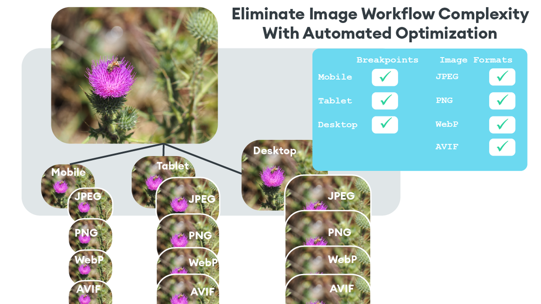 streamline workflow horizontal
