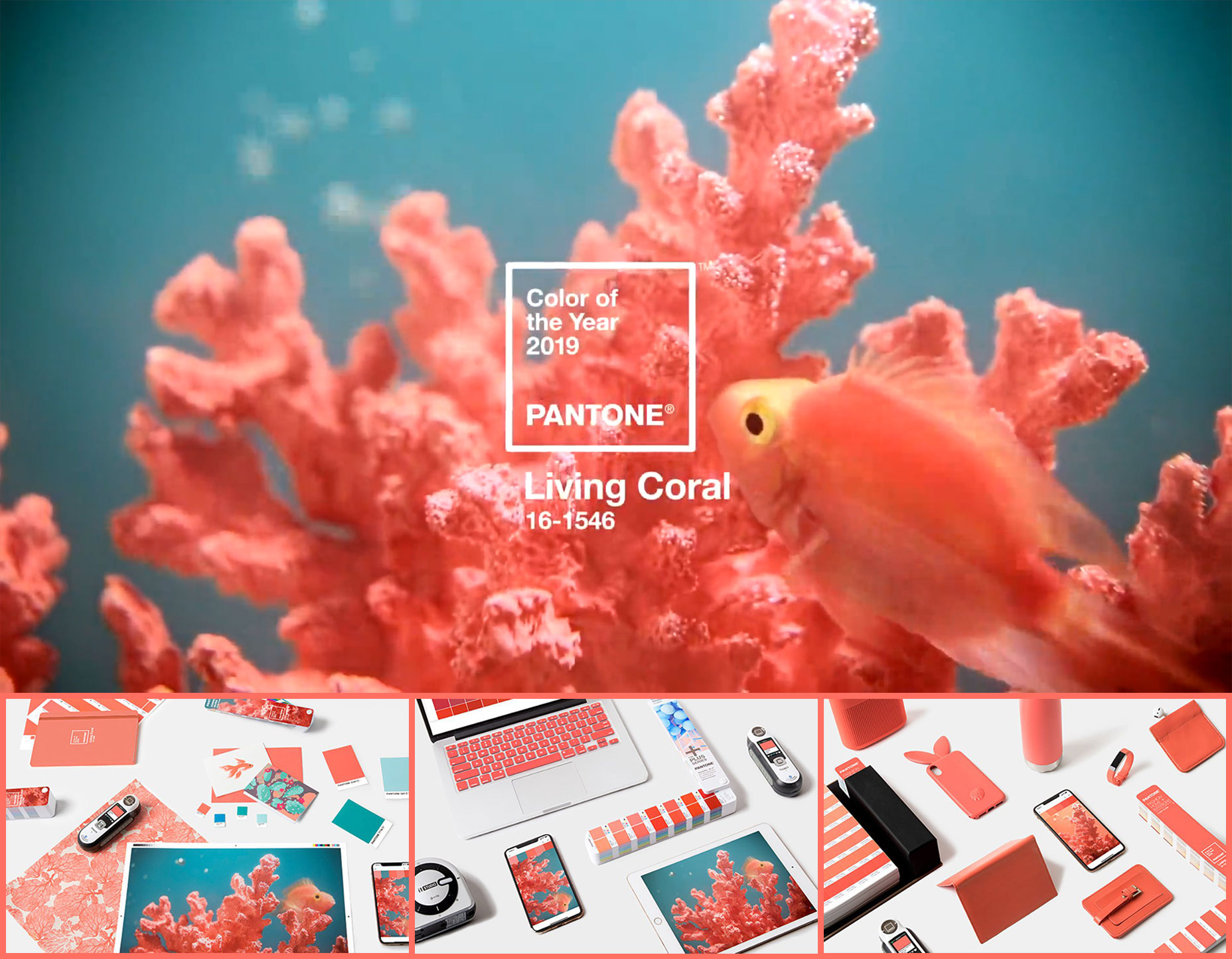 pantone_preview