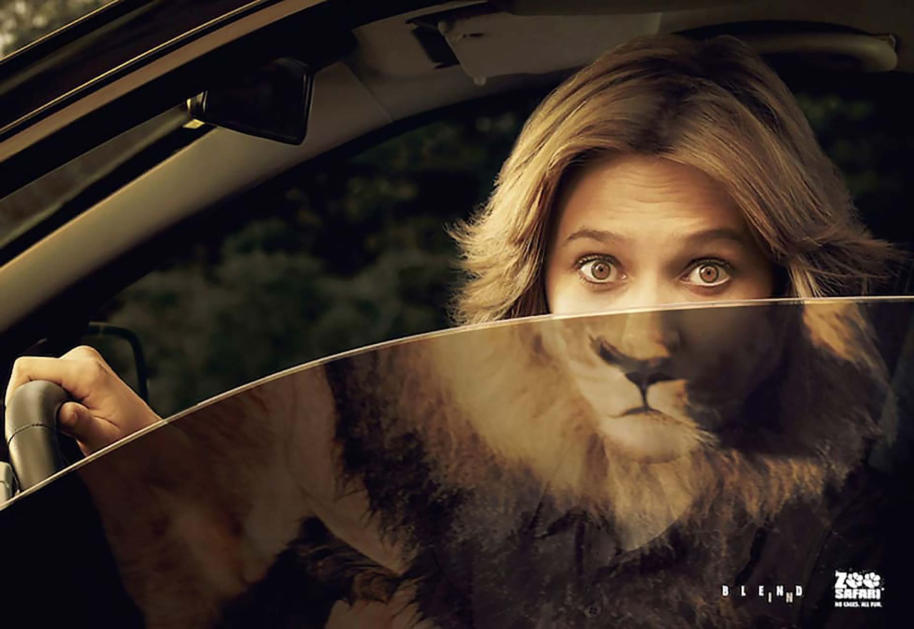 lion