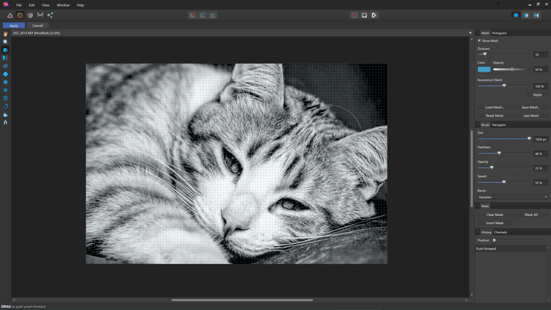 liquify