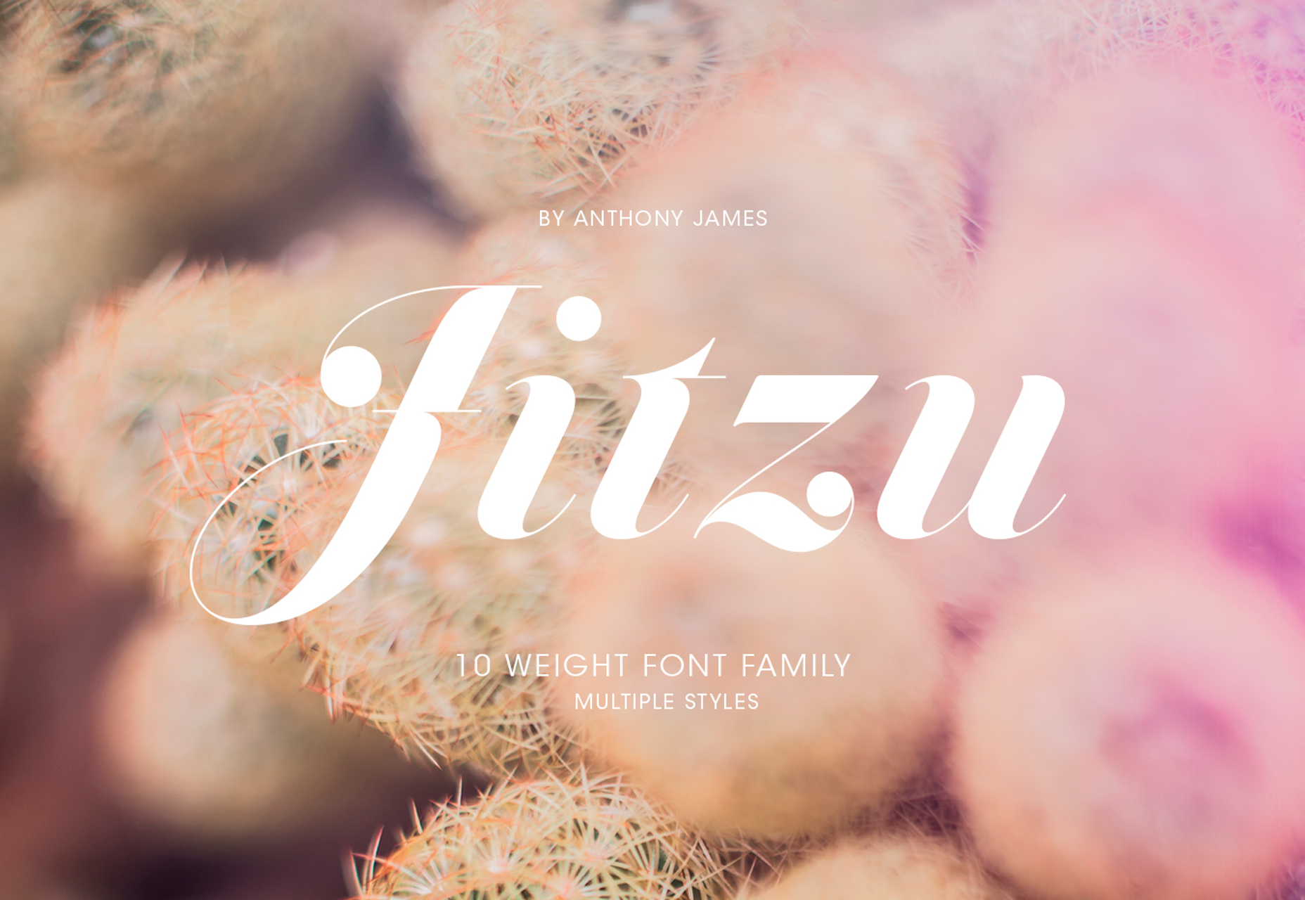 Jitzu: Fancy 10-weight Didone Typeface