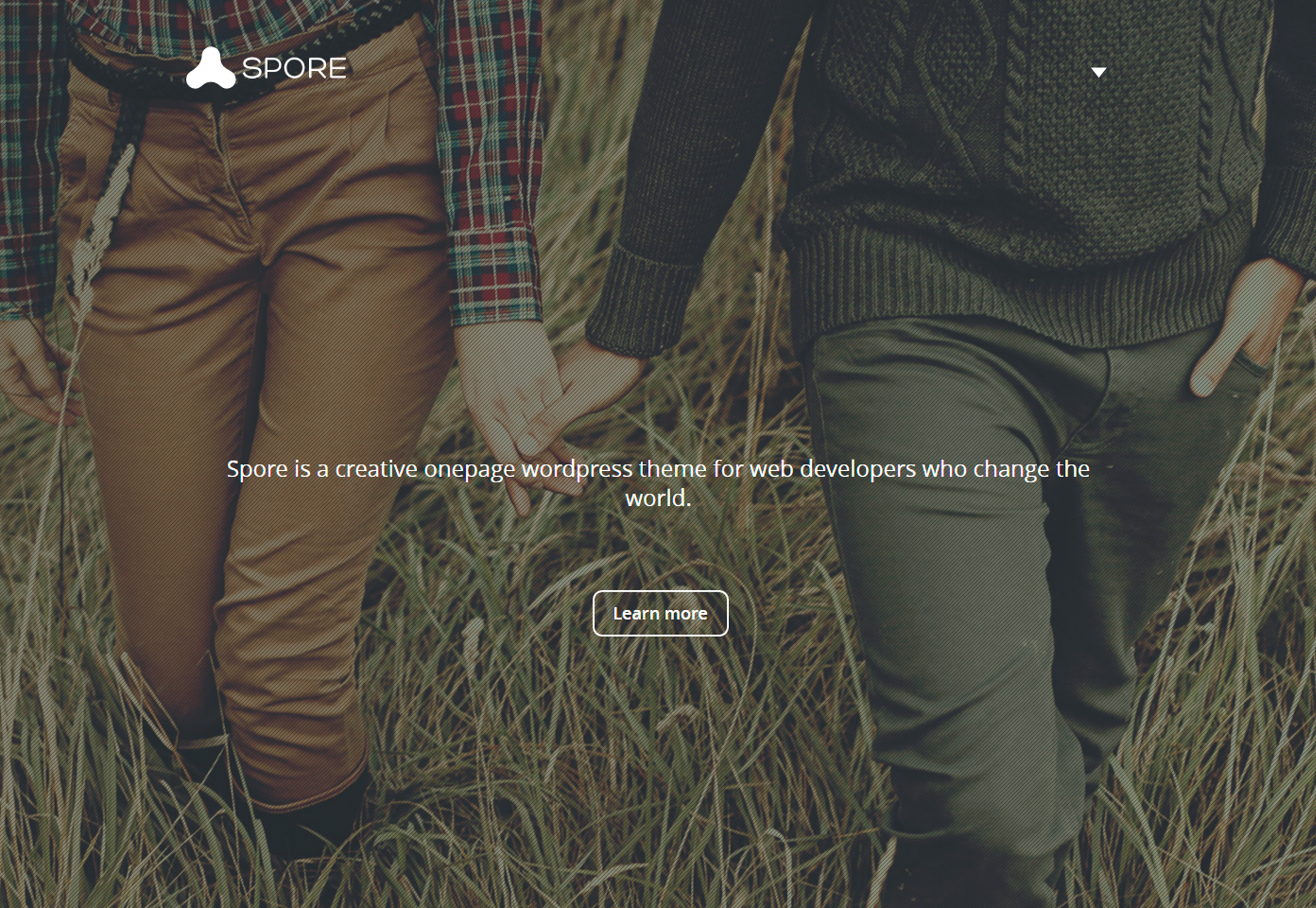 Spore: HTML5 Masonry Blog Template