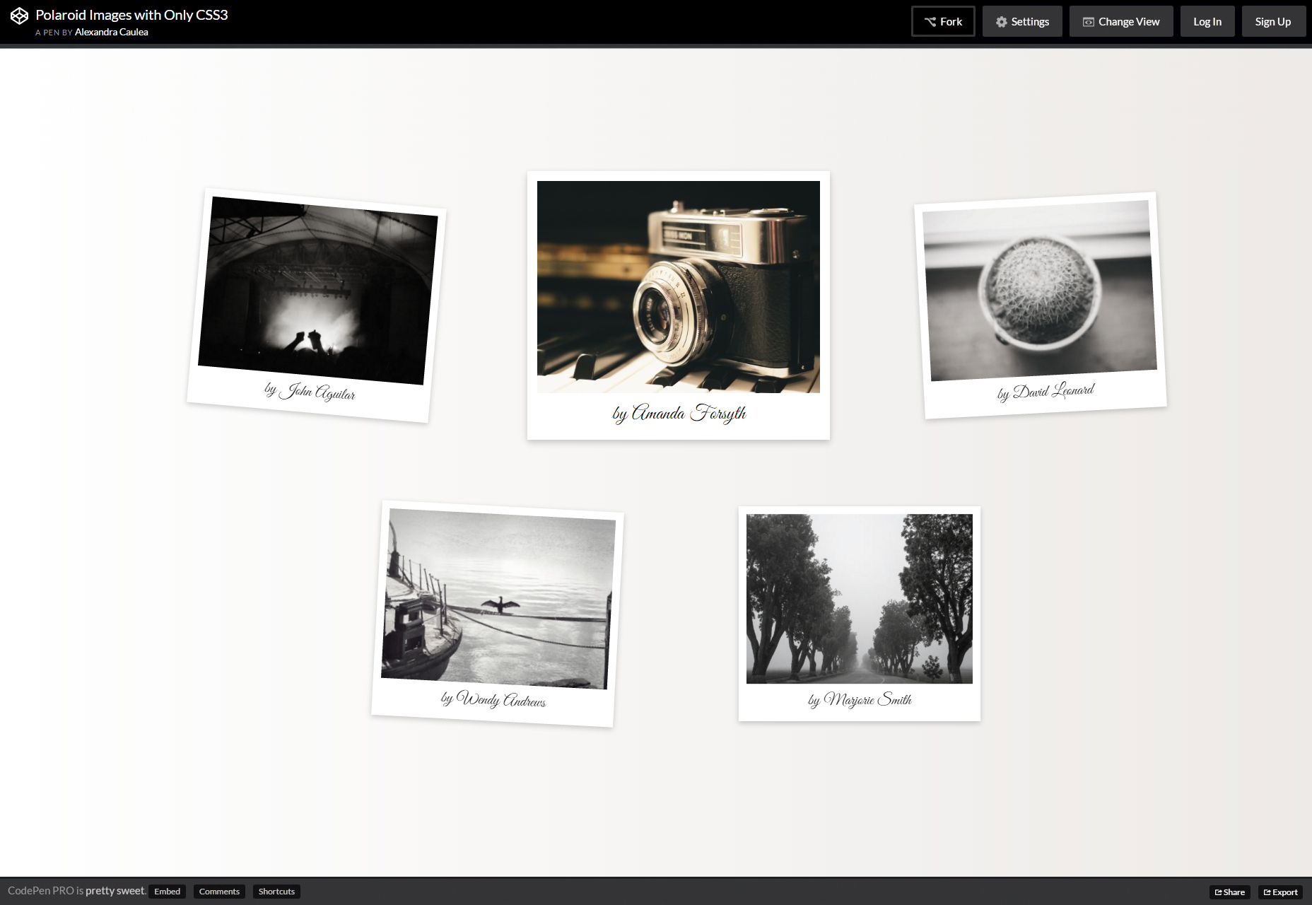 CSS3-Only Polaroid Effects