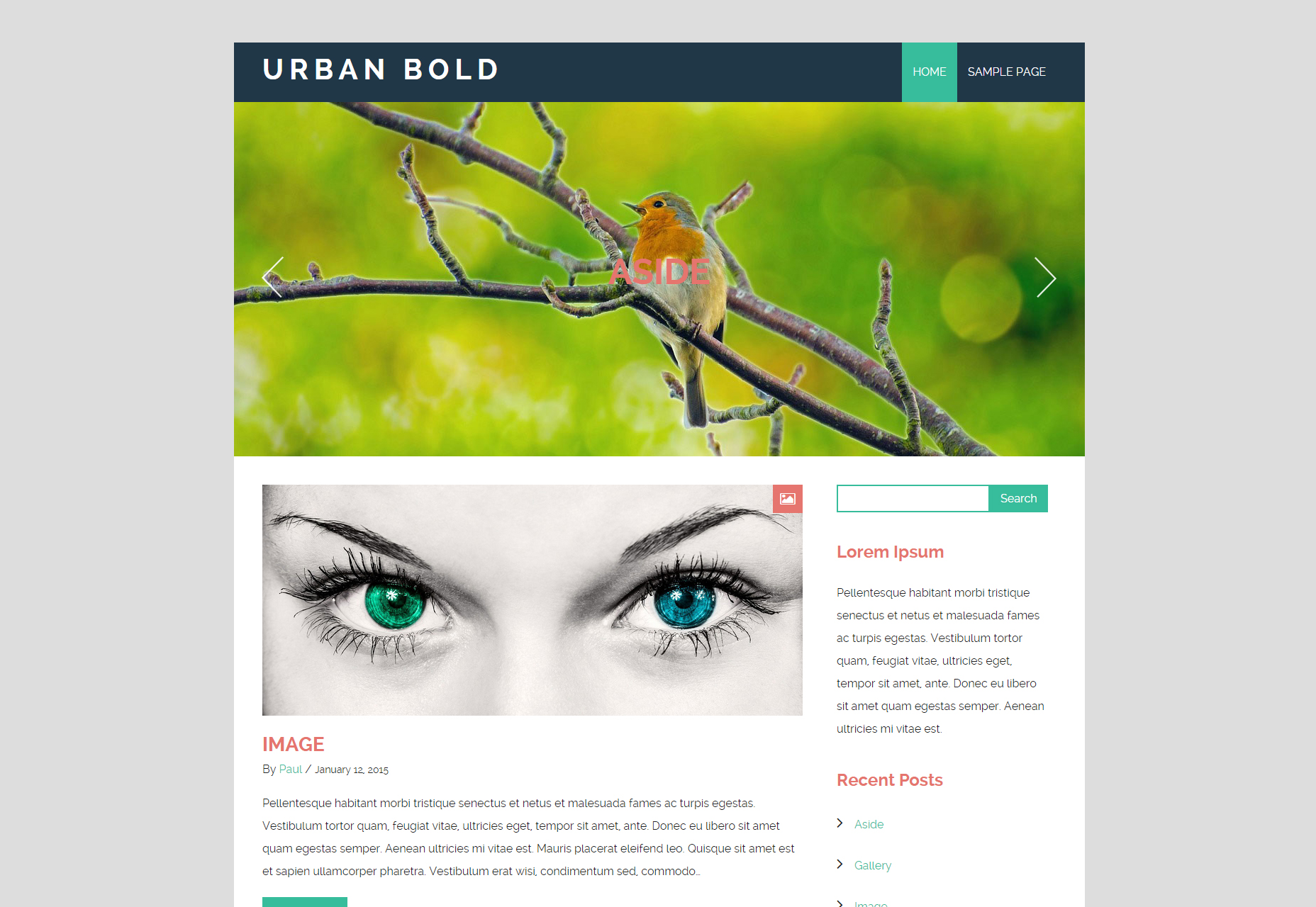 Urban Bold: Refreshing Blogging WordPress Theme