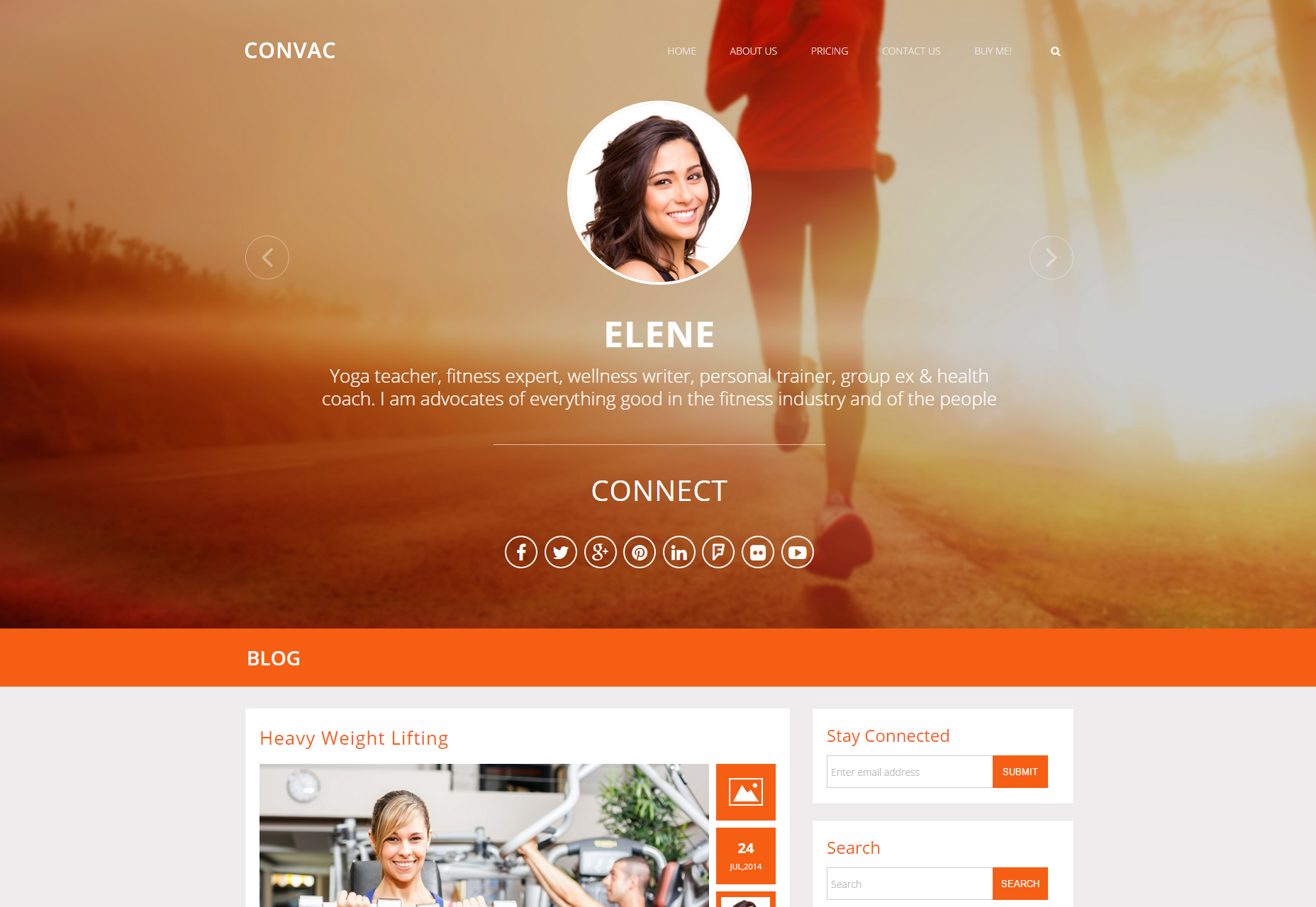 Startup WP Themes, a Complete Collection