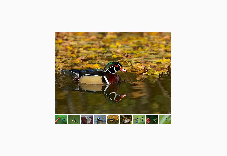 Responsive JQuery Slider with Thumbnail Navigation