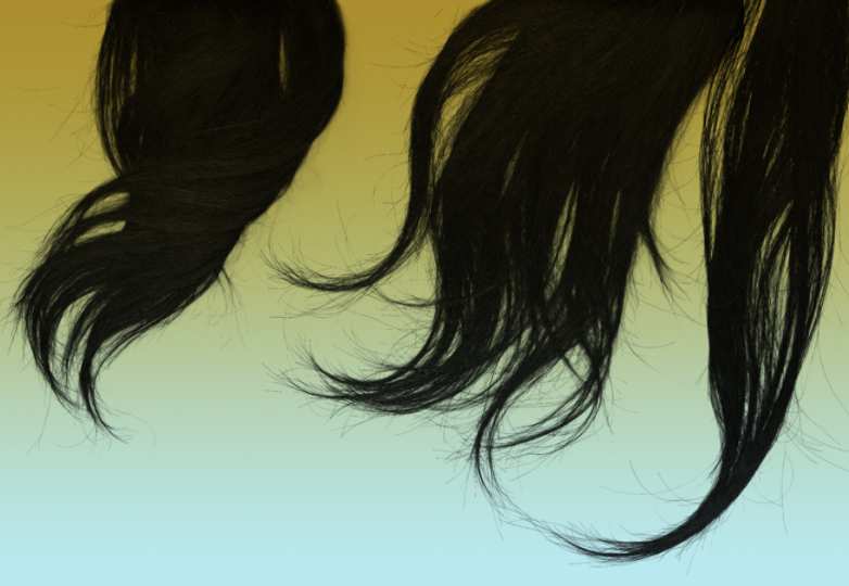 Hair Brushes 1