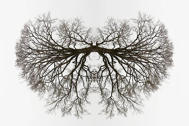 mirror1