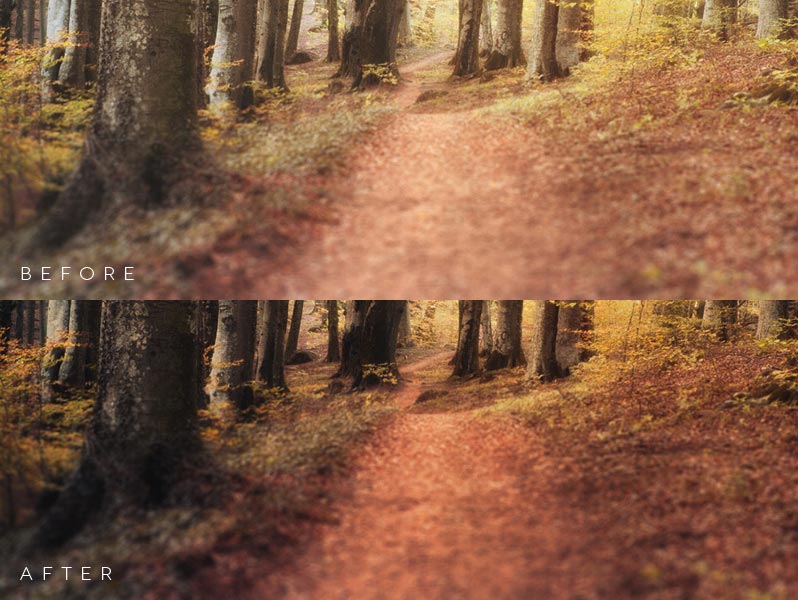 Autumn Actions