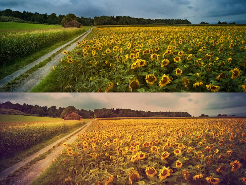 sunrise and sunset actions