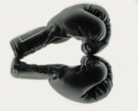 Insider views on responsive design: the debate continues