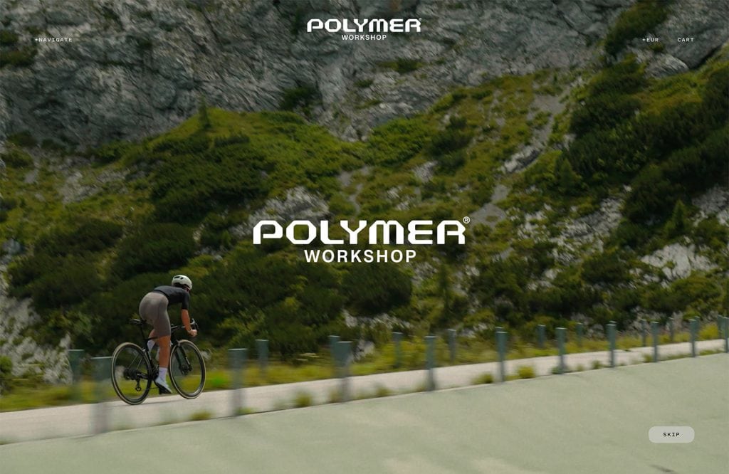 13 polymer